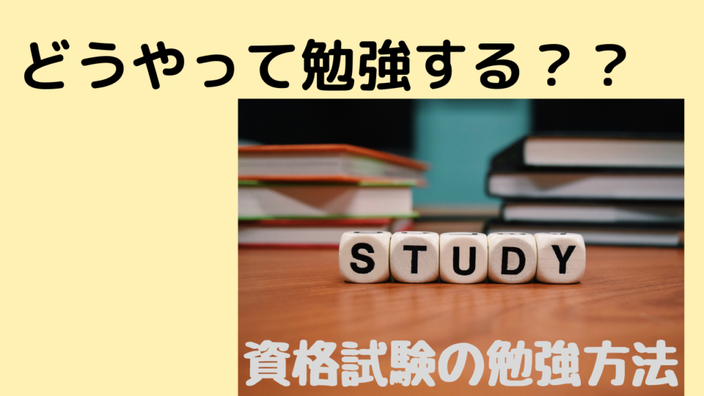 おかねのこと かめのおうち